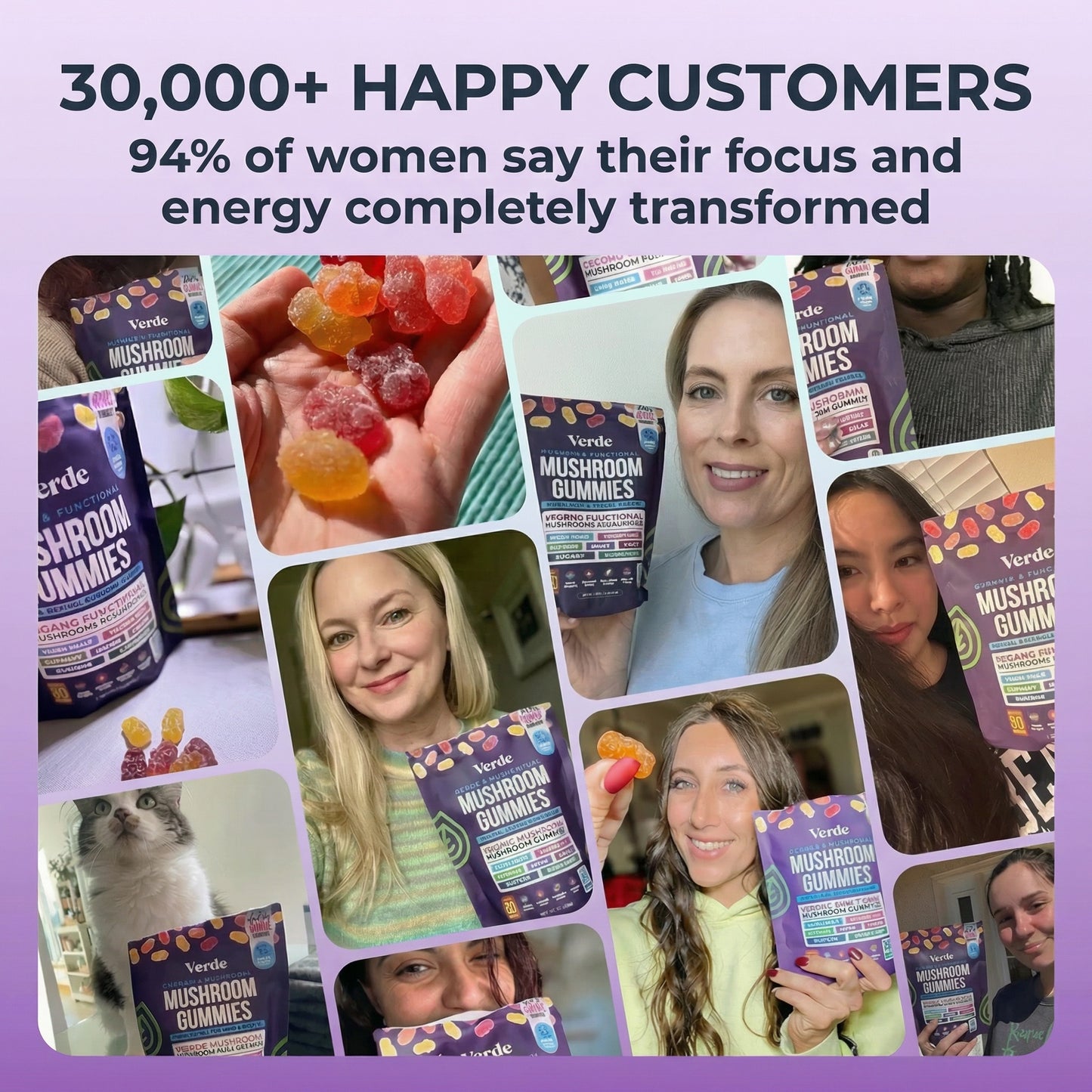 Total Mind Mushroom Gummies – 2500mg