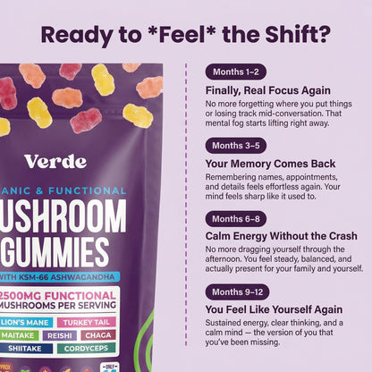 Total Mind Mushroom Gummies – 2500mg