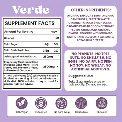 Total Mind Mushroom Gummies – 2500mg